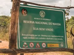 Reserva Especial do Niassa reabre ao turismo após ataques terroristas