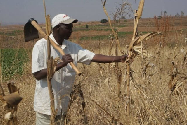 Fenómeno El Niño afecta 19 mil pessoas com escassez de água em Gaza