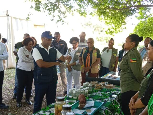 IIAM e EMBRAPA reforçam cooperação em investigação agrária