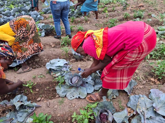 Mulheres camponesas se reúnem para fortalecer resistência contra indústria extractiva