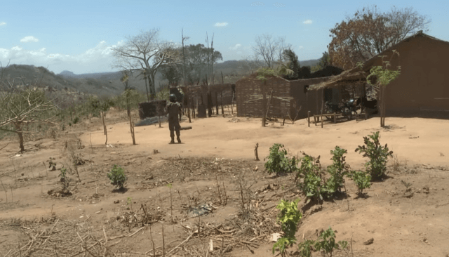 Terroristas matam quatro jovens em Memba