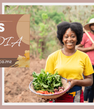 Vagas de emprego do dia 17 de Fevereiro de 2026