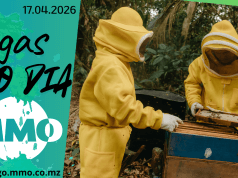 Vagas de emprego do dia 17 de Abril de 2026