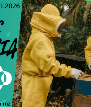 Vagas de emprego do dia 17 de Abril de 2026