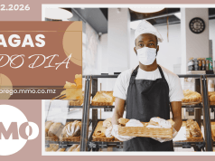 Vagas de emprego do dia 19 de Fevereiro de 2026