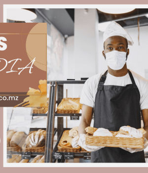 Vagas de emprego do dia 19 de Fevereiro de 2026