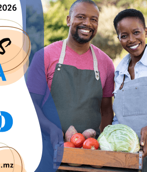 Vagas de emprego do dia 20 de Abril de 2026