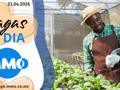 Vagas de emprego do dia 21 de Abril de 2026