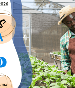 Vagas de emprego do dia 21 de Abril de 2026