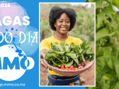 Vagas de emprego do dia 23 de Março de 2026