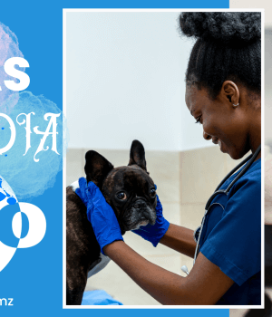 Vagas de emprego do dia 24 de Março de 2026