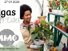 Vagas de emprego do dia 27 de Abril de 2026