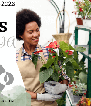 Vagas de emprego do dia 27 de Abril de 2026