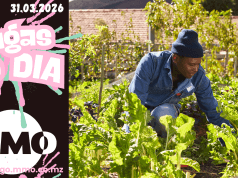 Vagas de emprego do dia 31 de Março de 2026