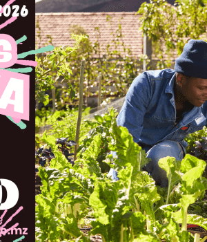 Vagas de emprego do dia 31 de Março de 2026