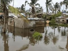 Chuvas em Moçambique deixam milhares de desalojados e culturas destruídas