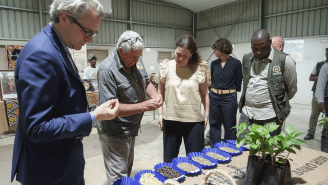 Gorongosa ganha nova fábrica de café com apoio dos Países Baixos