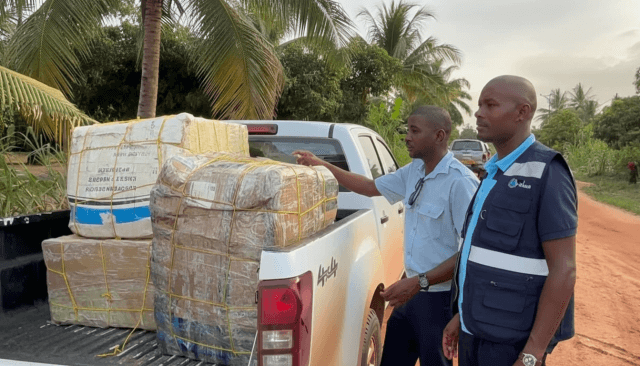 Autoridades apreendem 600 quilos de camarão ilegal na Zambézia