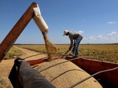 ICM passa a ser o único responsável pela importação de cereais no país