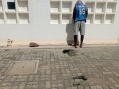 Cidadão malawiano detido em Tete por posse ilegal de arma de pressão