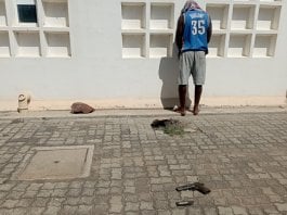 Cidadão malawiano detido em Tete por posse ilegal de arma de pressão