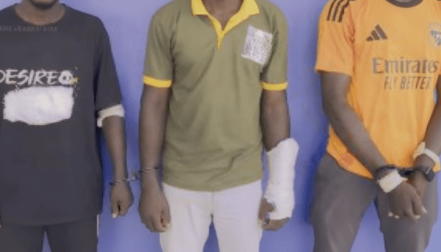 População de Boane captura ladrões de gado durante tentativa de roubo